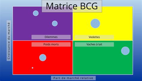 matrice bcg exemple.